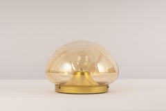 1 of 2 Glass Ceiling Wall Lights by Hoffmeister, Germany, 1960s