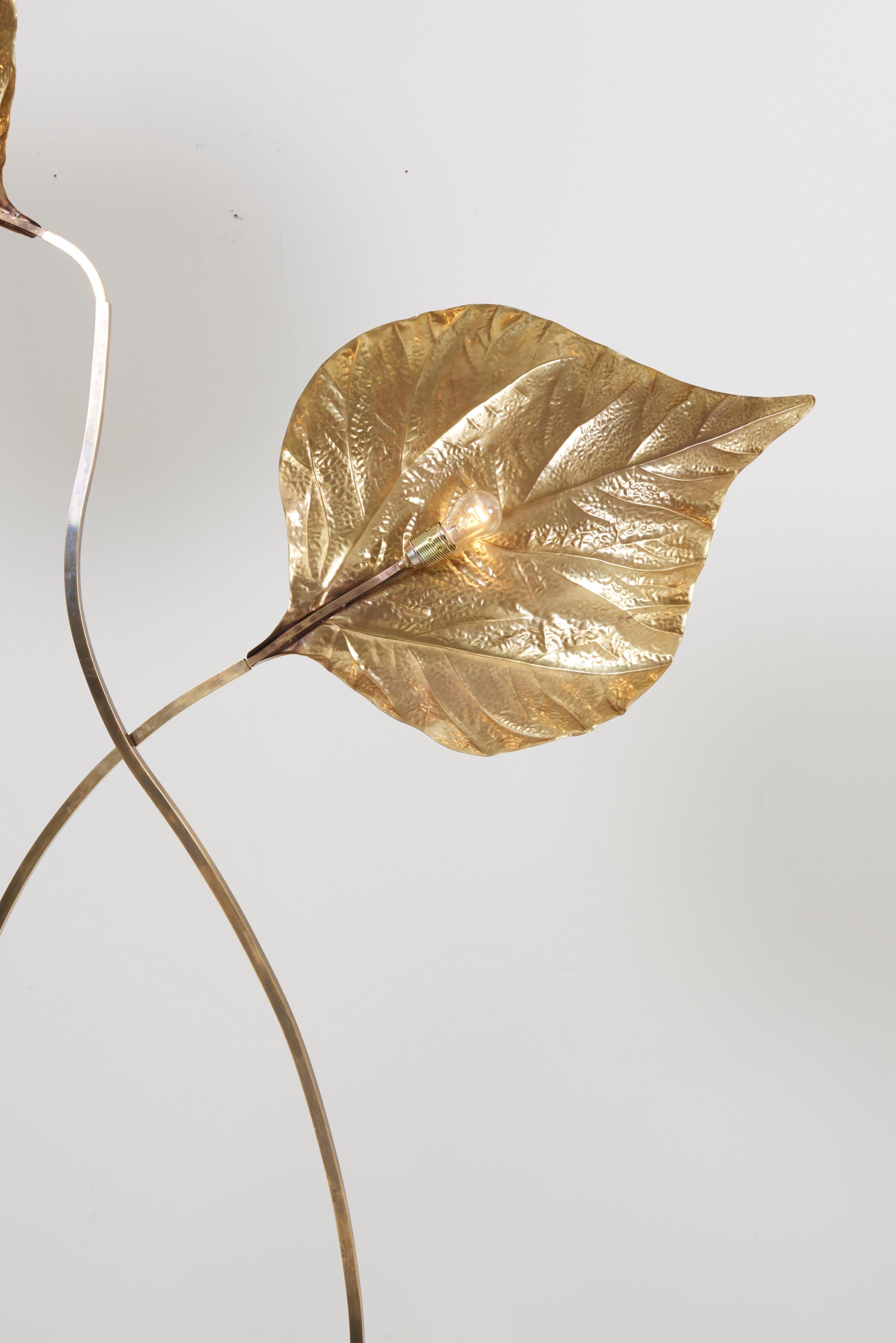 Huge Two Rhubarb Leaves Brass Floor Lamp by Tommaso Barbi 2