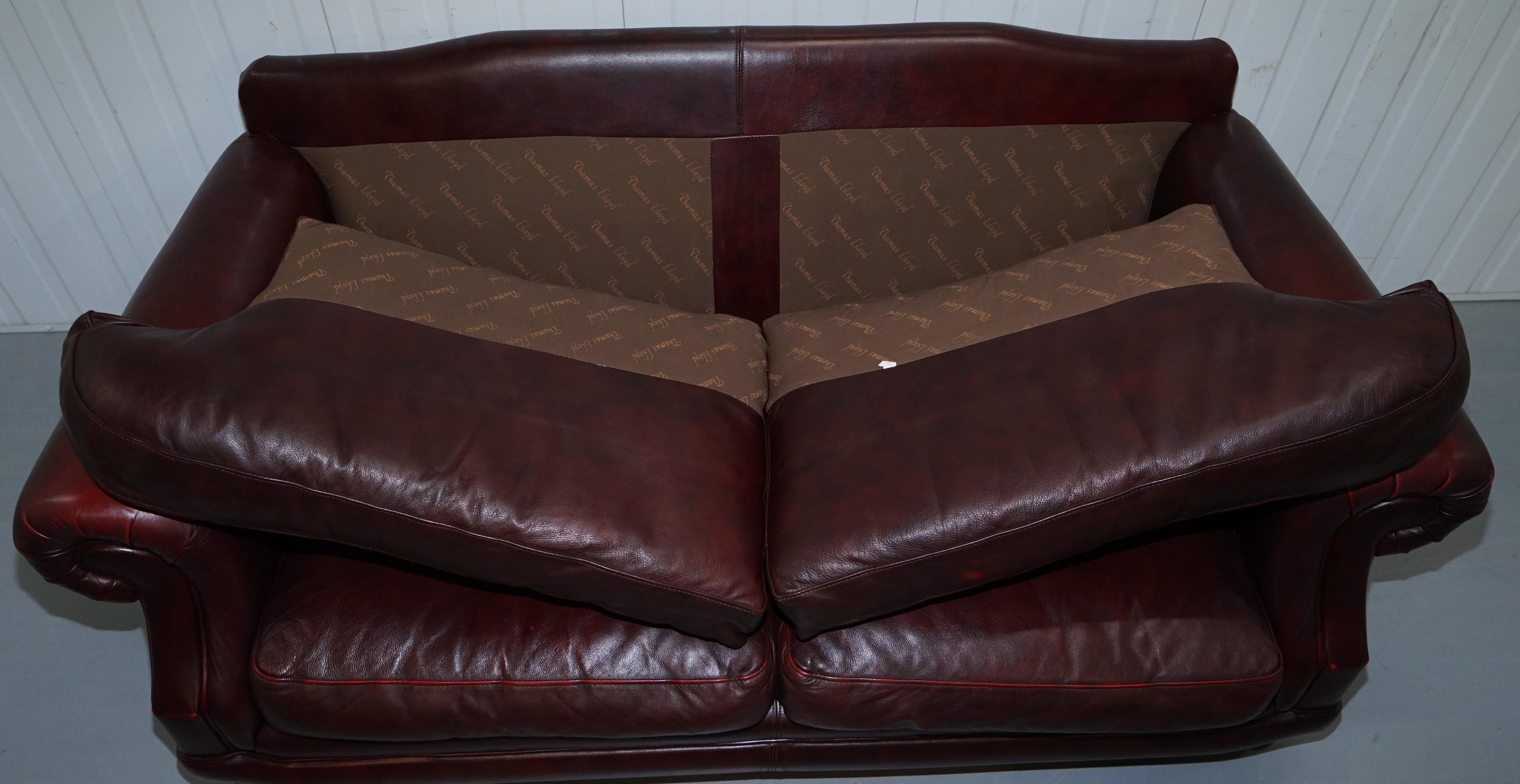 1 of 2 Lovely Thomas Lloyd Consort Oxblood Leather Three-Seat Sofas 8