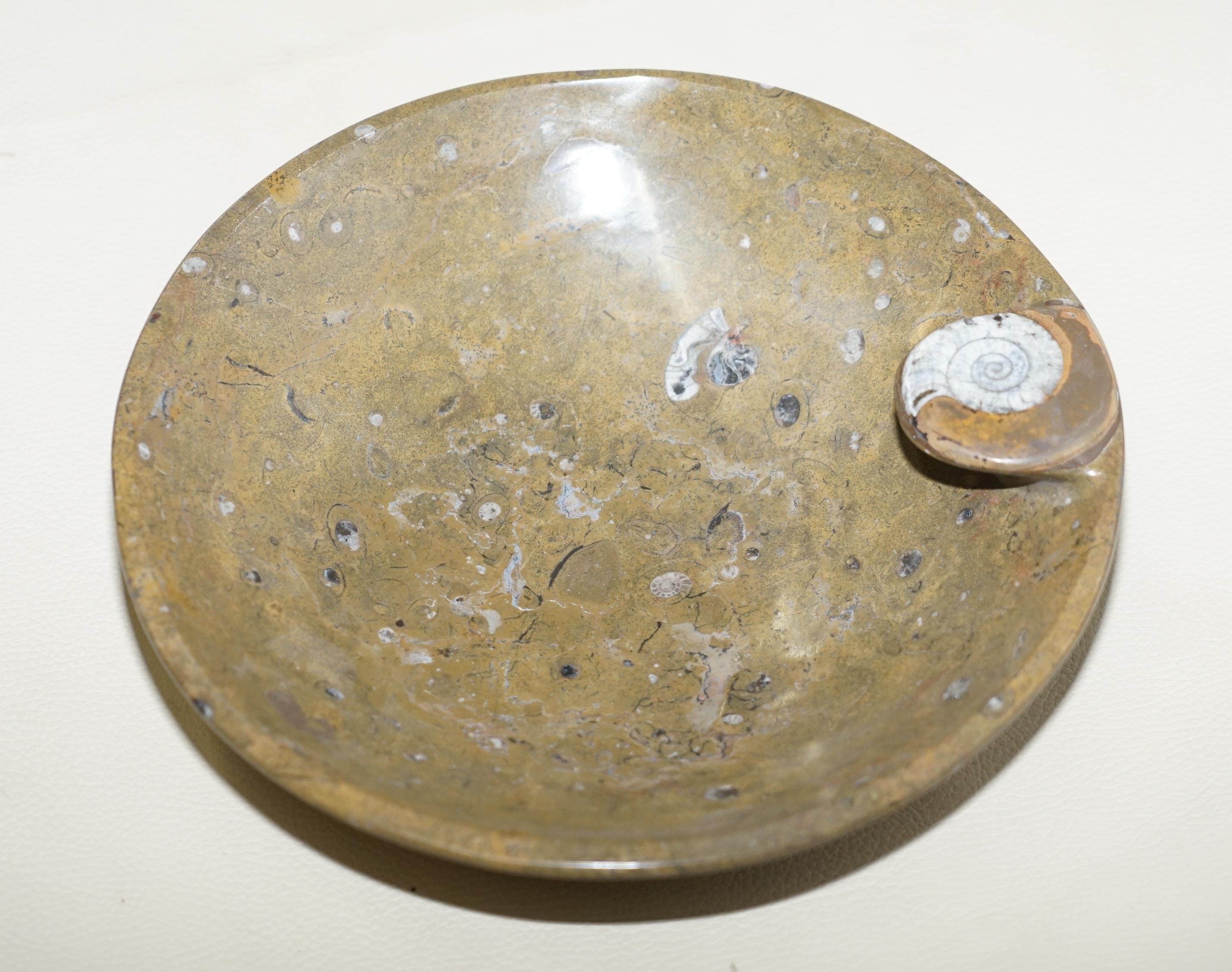 We are delighted to offer for sale this very decorative original circa 180+ Million year old Atlas Mountains Morocco Fossil bowl polished to a marble finish

They are truly exquisite, they each have one large fossil to the top and various fossils
