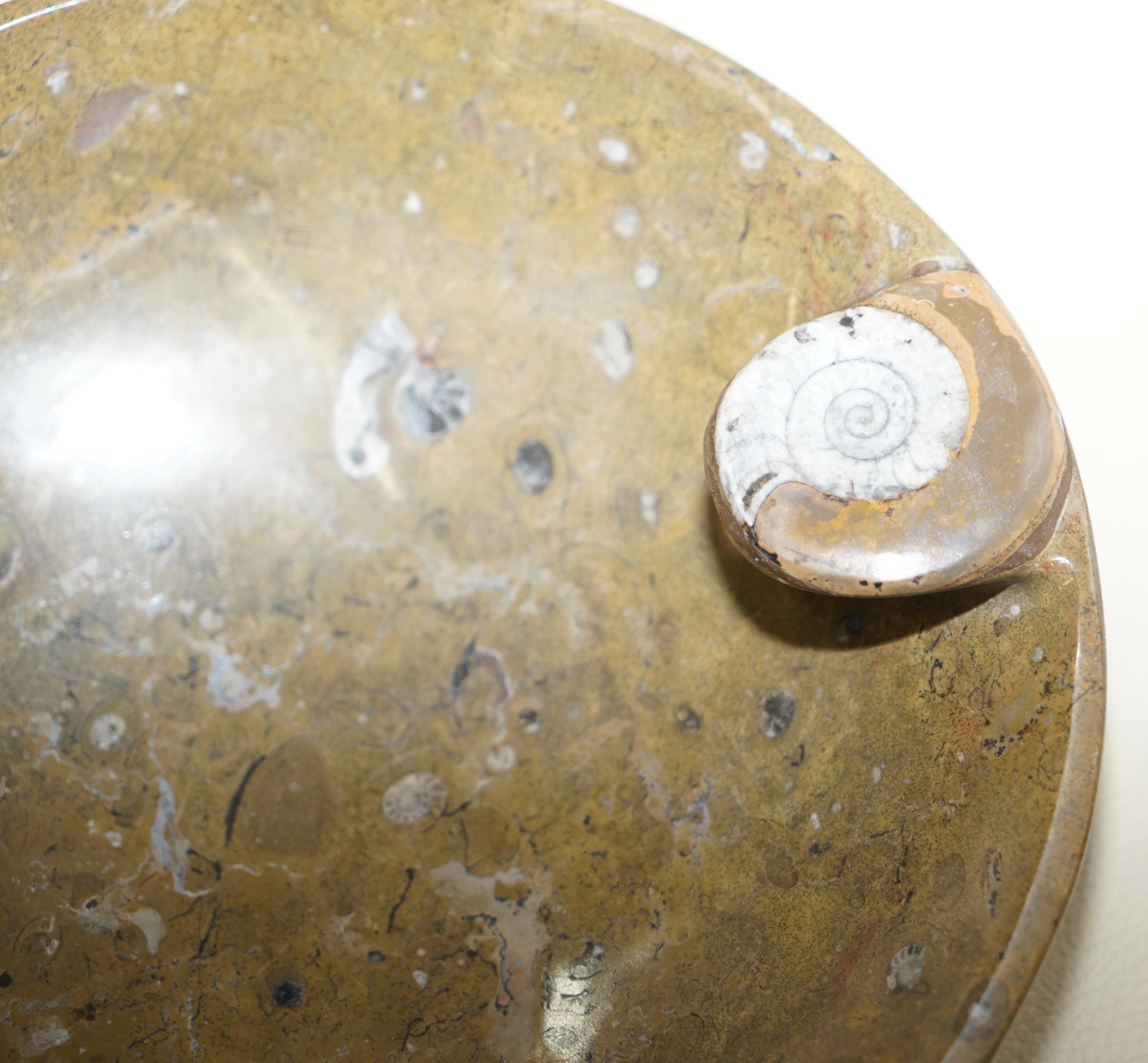 Autre 1 des 4 bols décoratifs marocains Ammonite Atlas Mountains Fossil Finition en marbre en vente