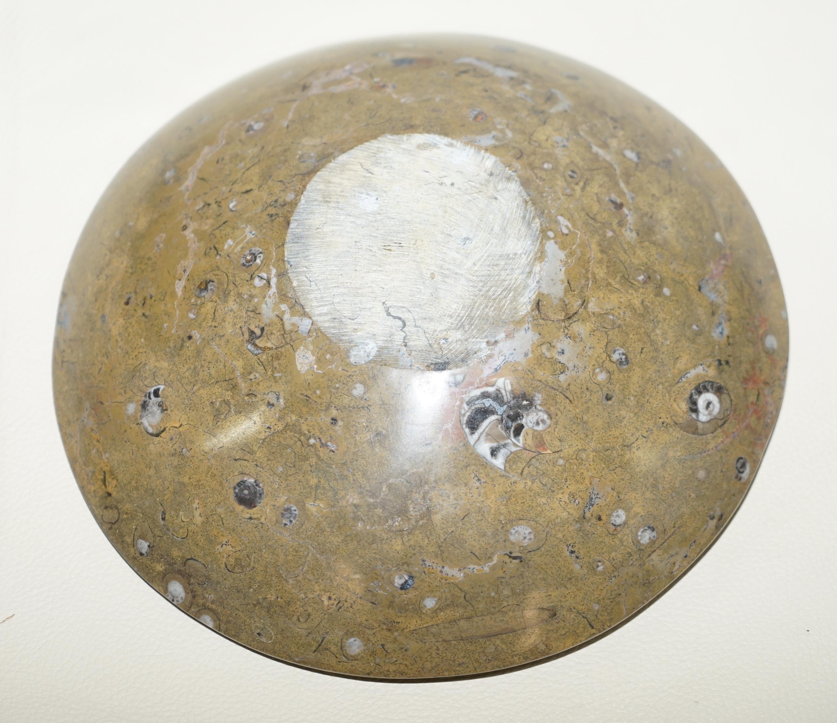 1 of 4 Decorative Moroccan Ammonite Atlas Mountains Fossil Bowls Marble Finish For Sale 2