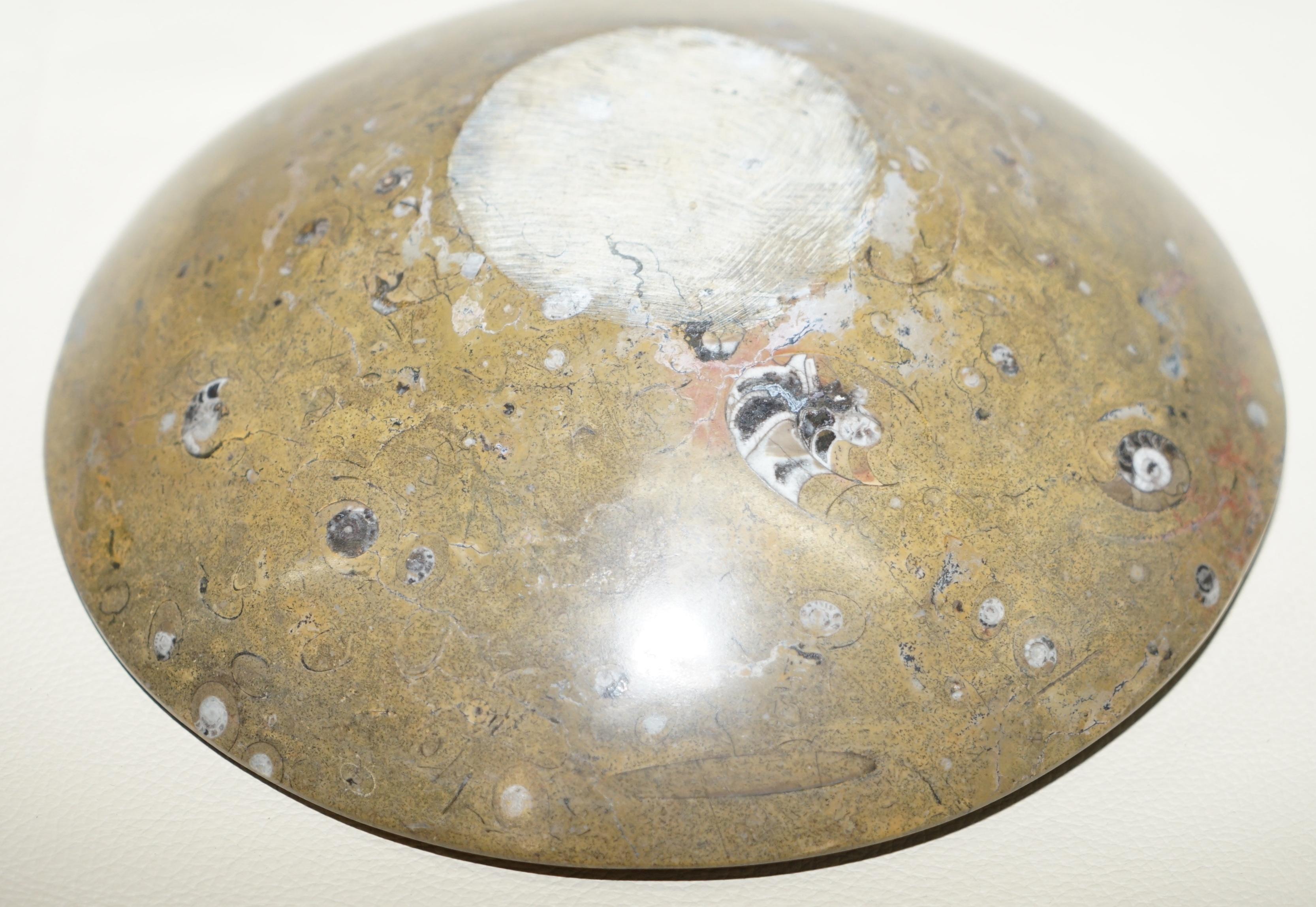1 of 4 Decorative Moroccan Ammonite Atlas Mountains Fossil Bowls Marble Finish For Sale 3