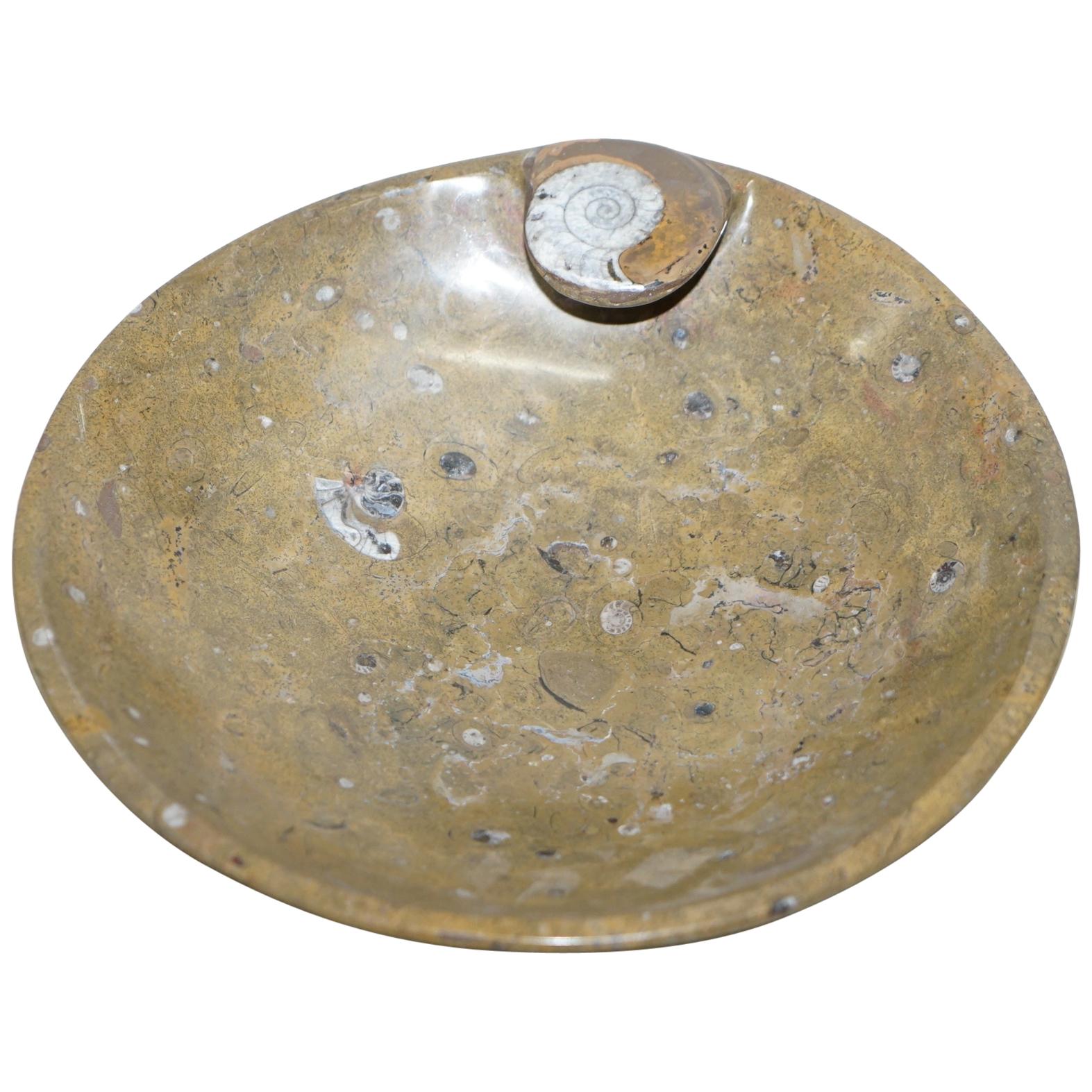 1 of 4 Decorative Moroccan Ammonite Atlas Mountains Fossil Bowls Marble Finish For Sale