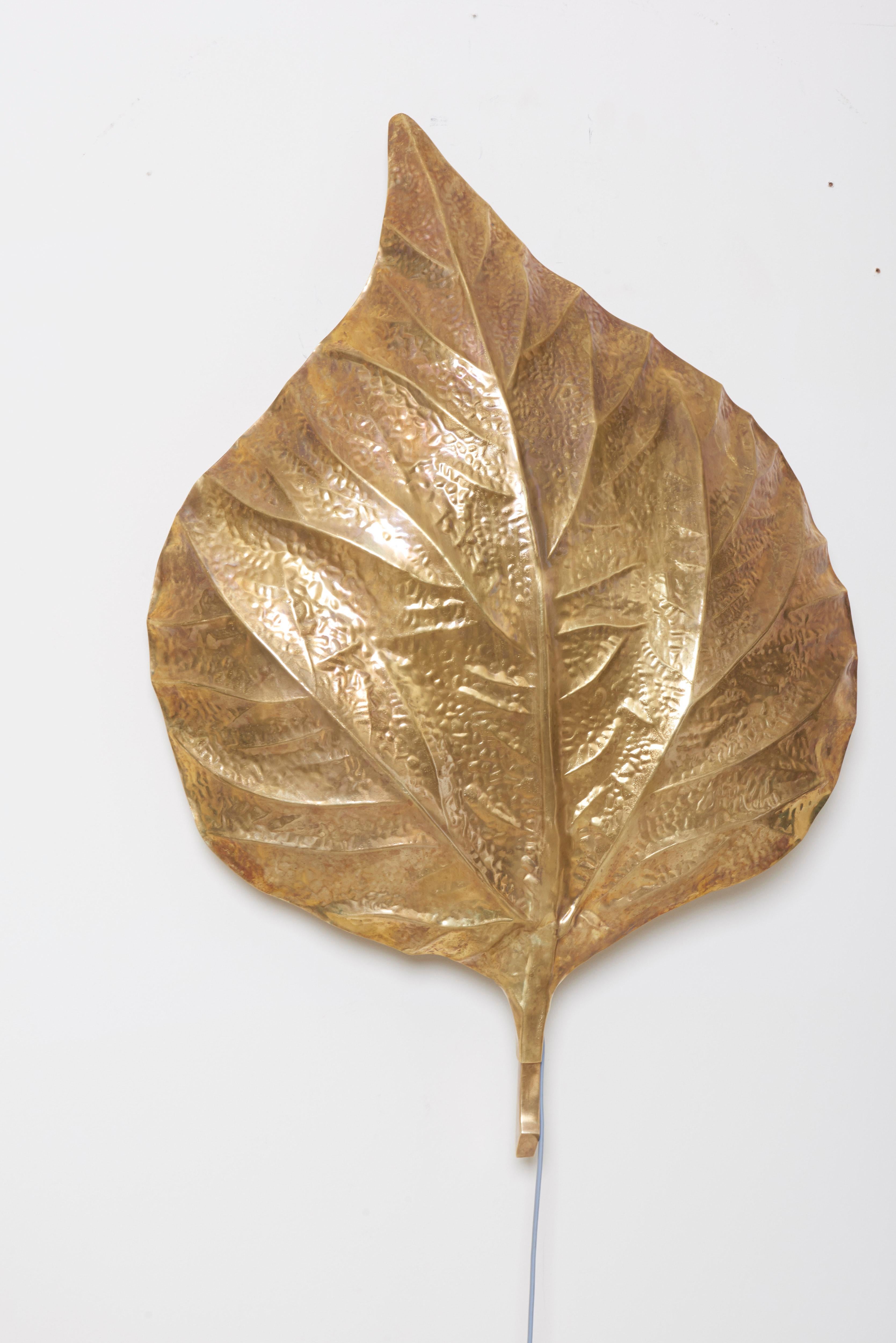 1 of 4 Huge Rhaburb Leaf Brass Wall Lights or Sconces by Tommaso Barbi For Sale 5