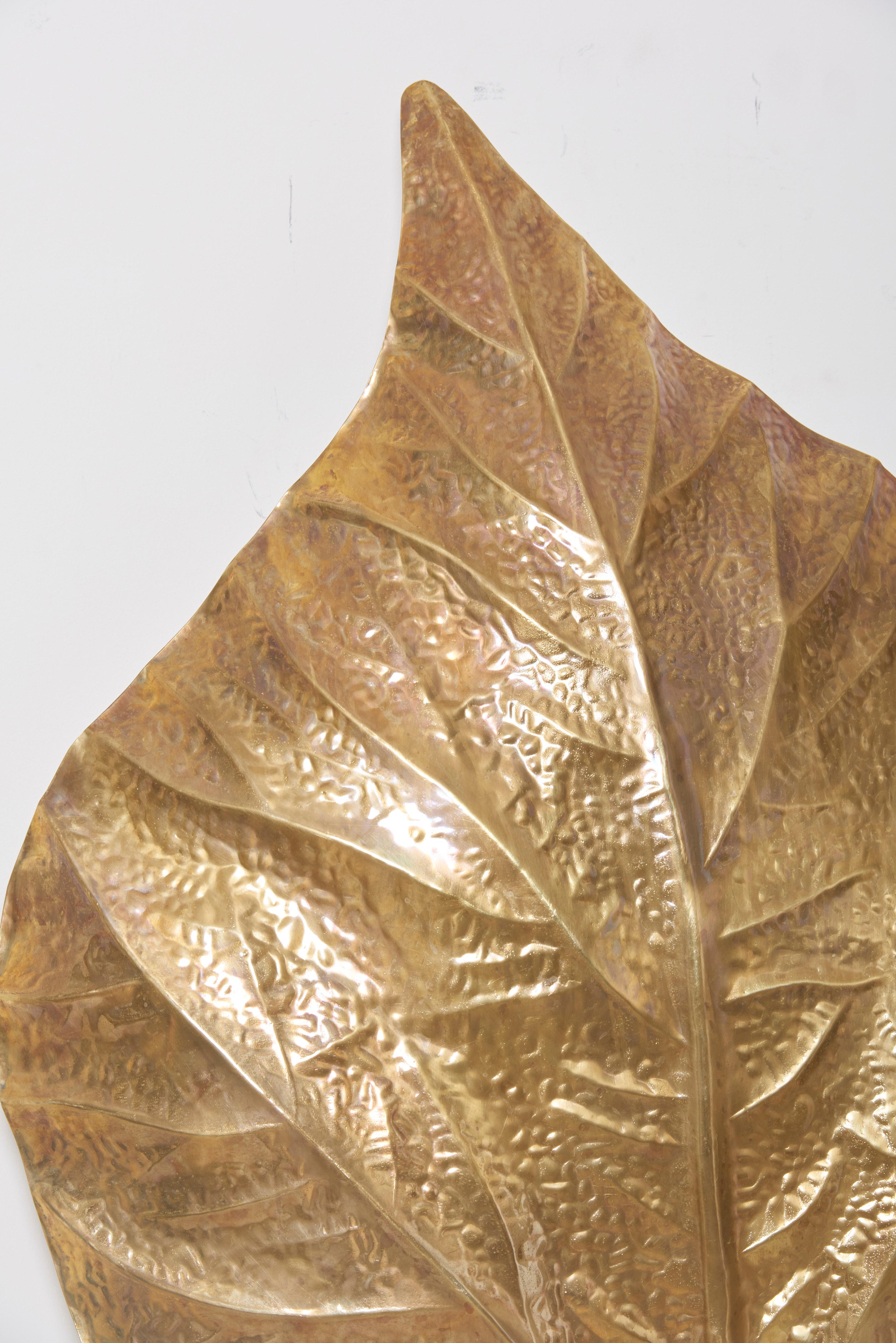 1 of 4 Huge Rhaburb Leaf Brass Wall Lights or Sconces by Tommaso Barbi For Sale 6