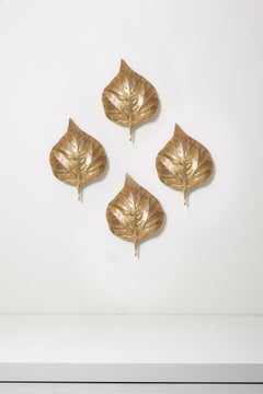 1 of 4 Huge Rhaburb Leaf Brass Wall Lights or Sconces by Tommaso Barbi