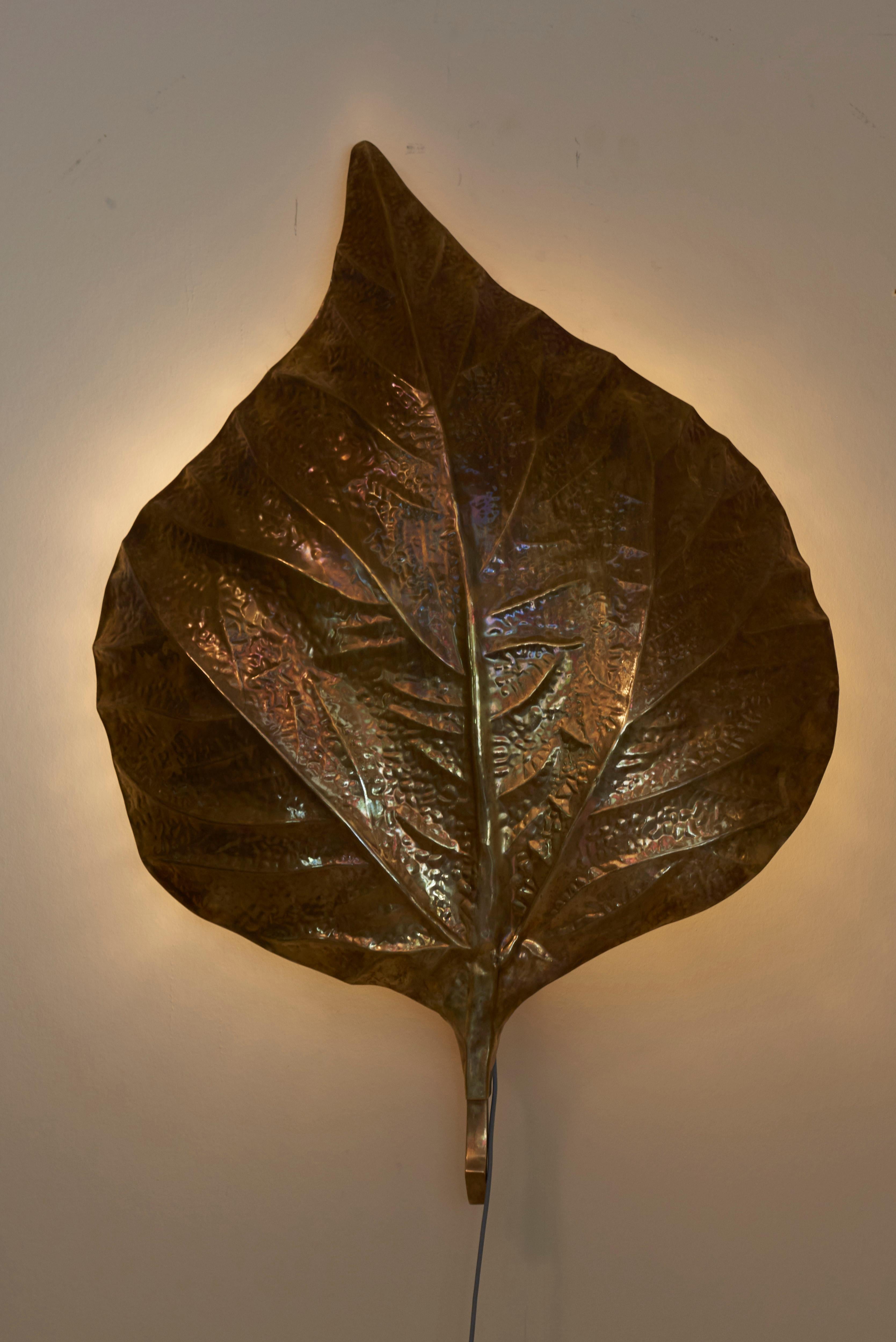 1 of 4 Huge Rhaburb Leaf Brass Wall Lights or Sconces by Tommaso Barbi For Sale 2