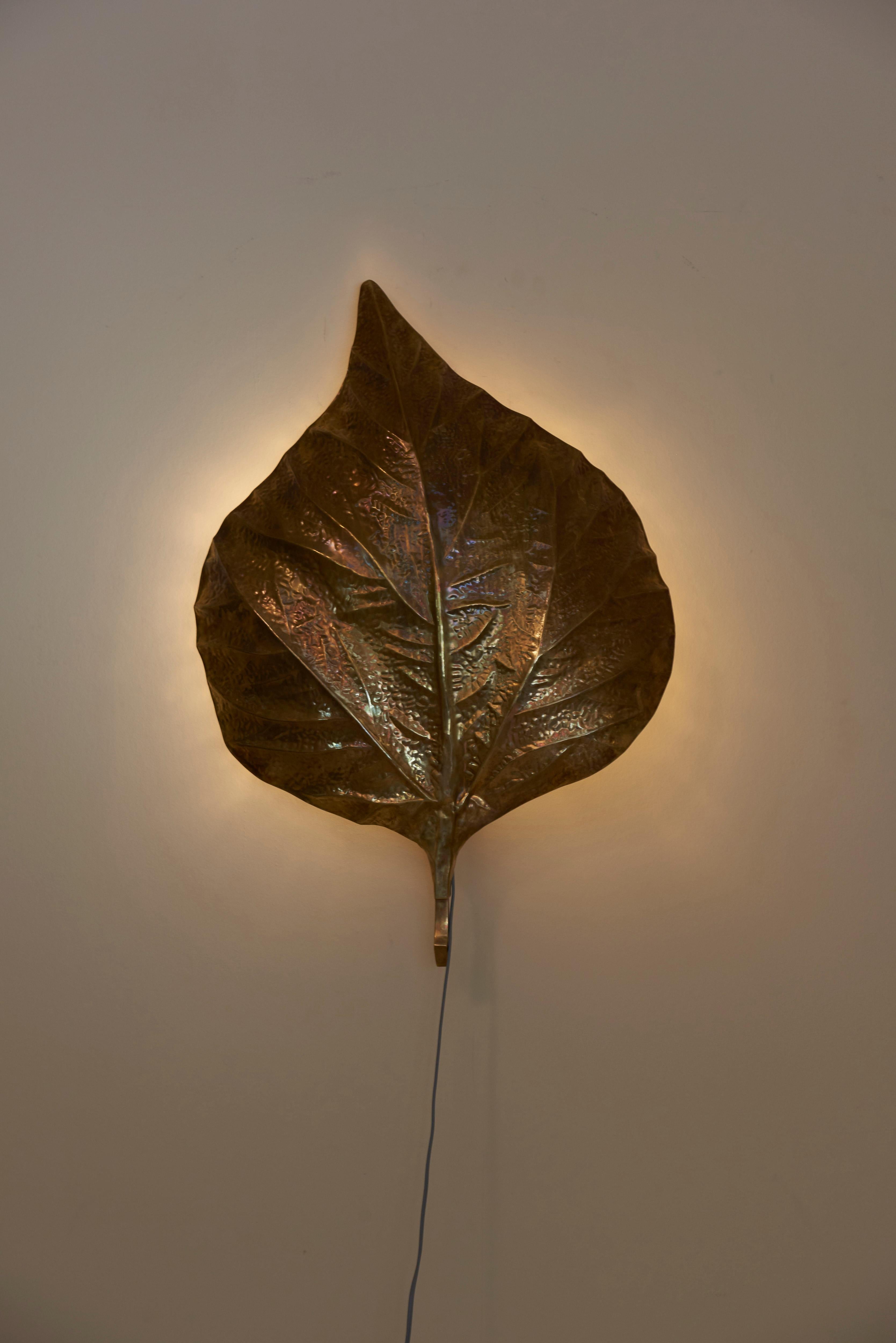 1 of 4 Huge Rhaburb Leaf Brass Wall Lights or Sconces by Tommaso Barbi For Sale 3