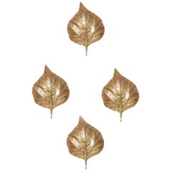 1 of 4 Huge Rhaburb Leaf Brass Wall Lights or Sconces by Tommaso Barbi