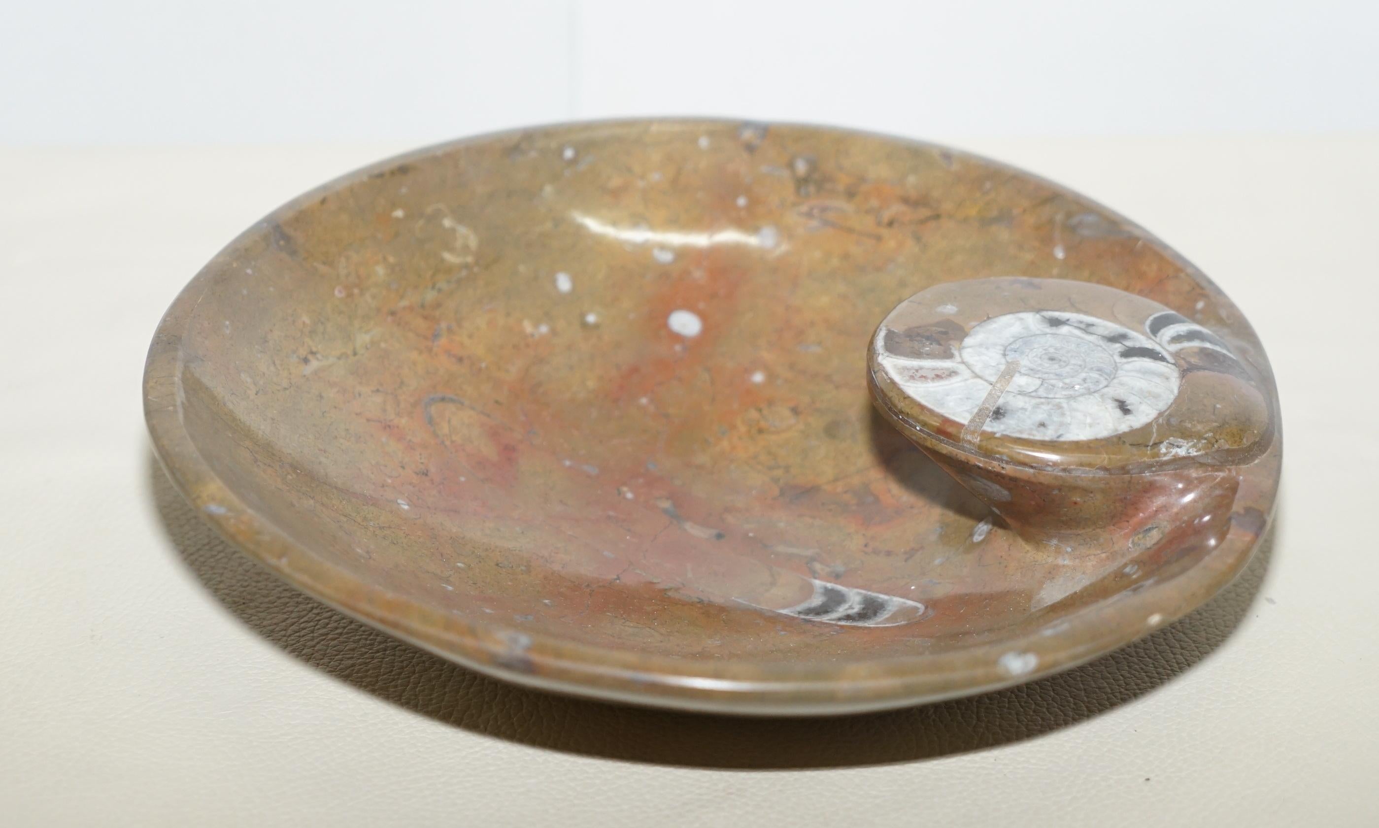 We are delighted to offer this sublime original circa 180+ Million year old Atlas Mountains Morocco Fossil bowl polished to a marble finish

They are truly exquisite, they each have one large fossil to the top and various fossils throughout the