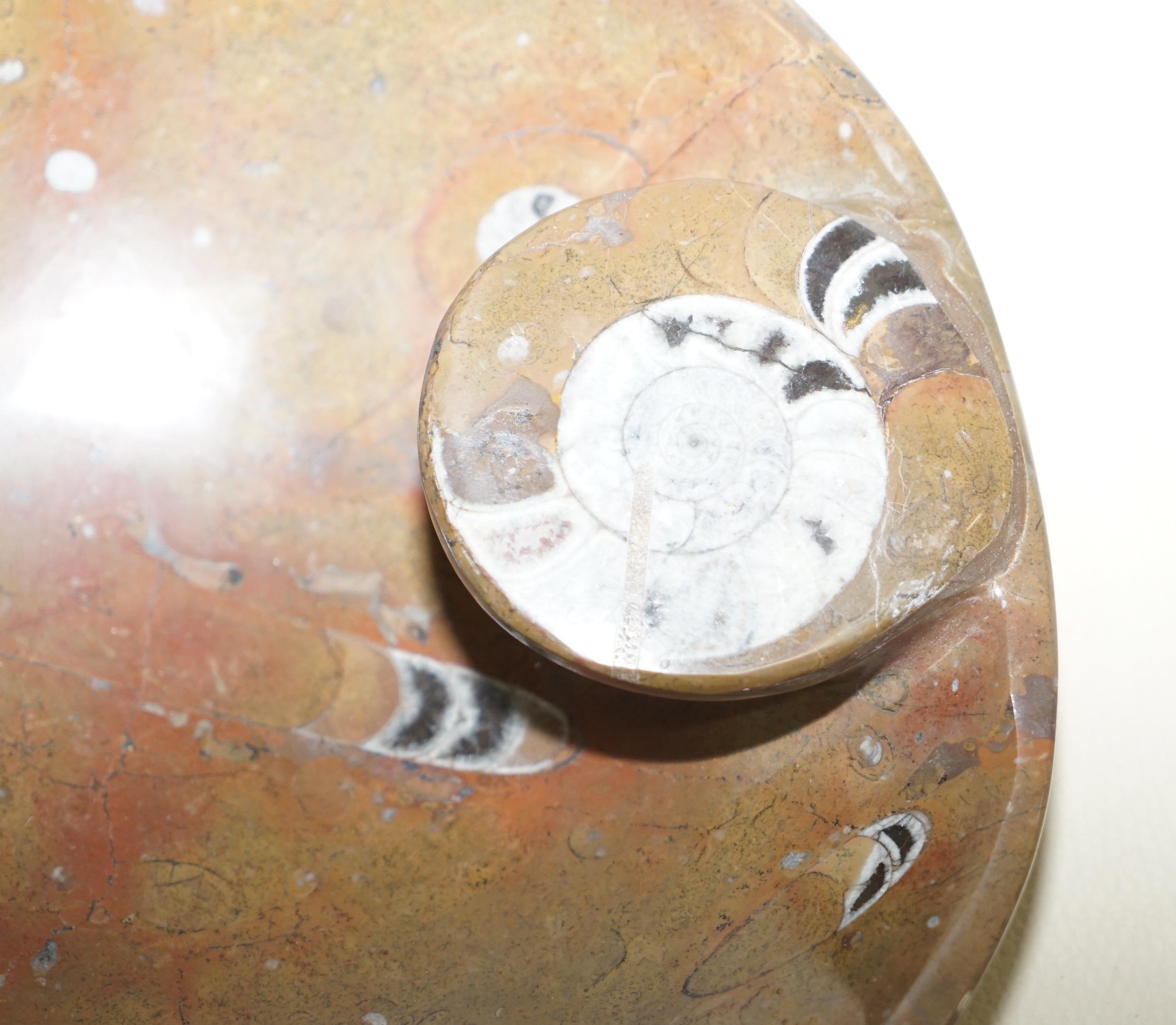 Other 1 of 4 Lovely Moroccan Ammonite Atlas Mountains Fossil Bowls Marble Finish For Sale