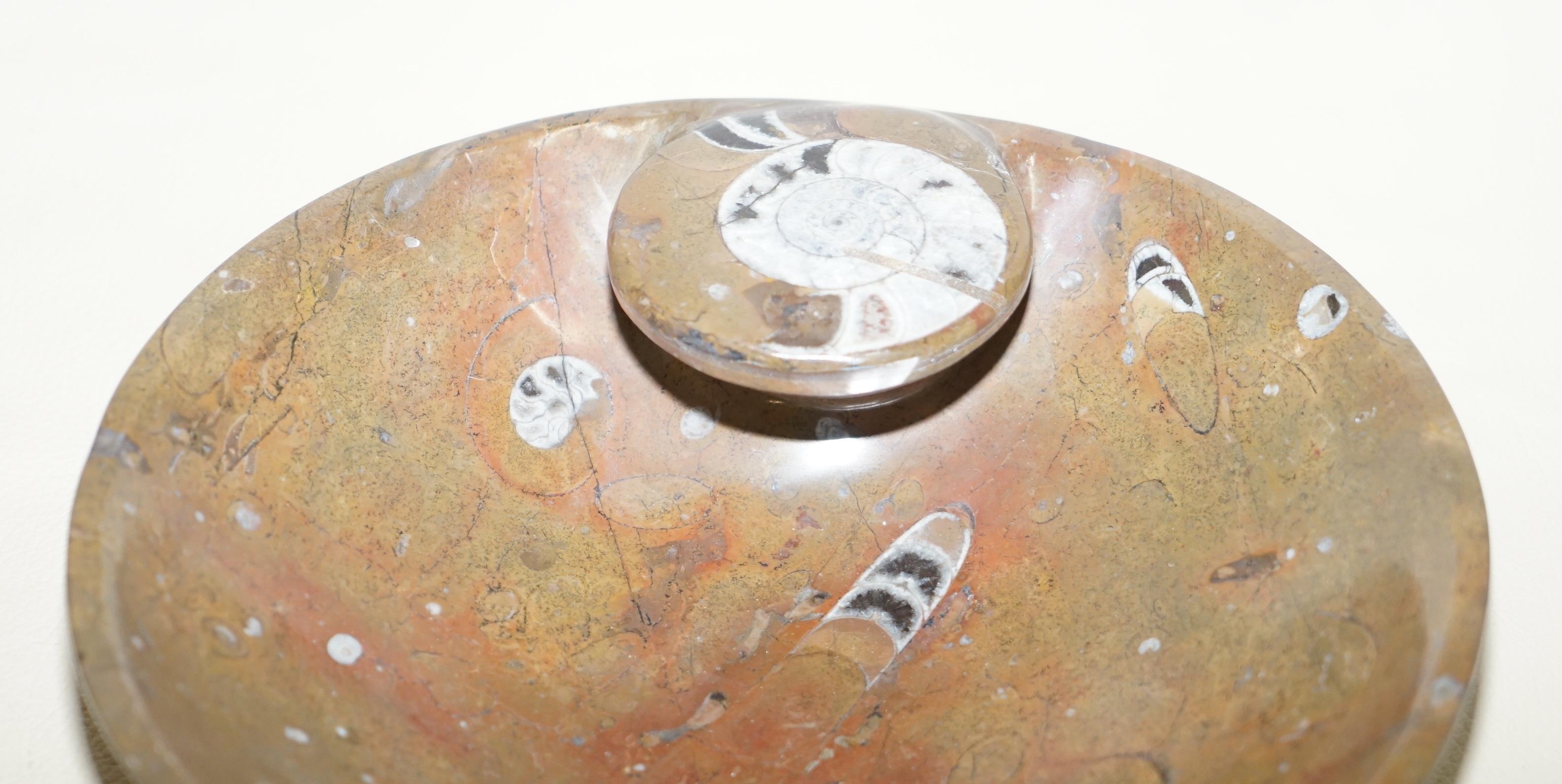 1 of 4 Lovely Moroccan Ammonite Atlas Mountains Fossil Bowls Marble Finish For Sale 1