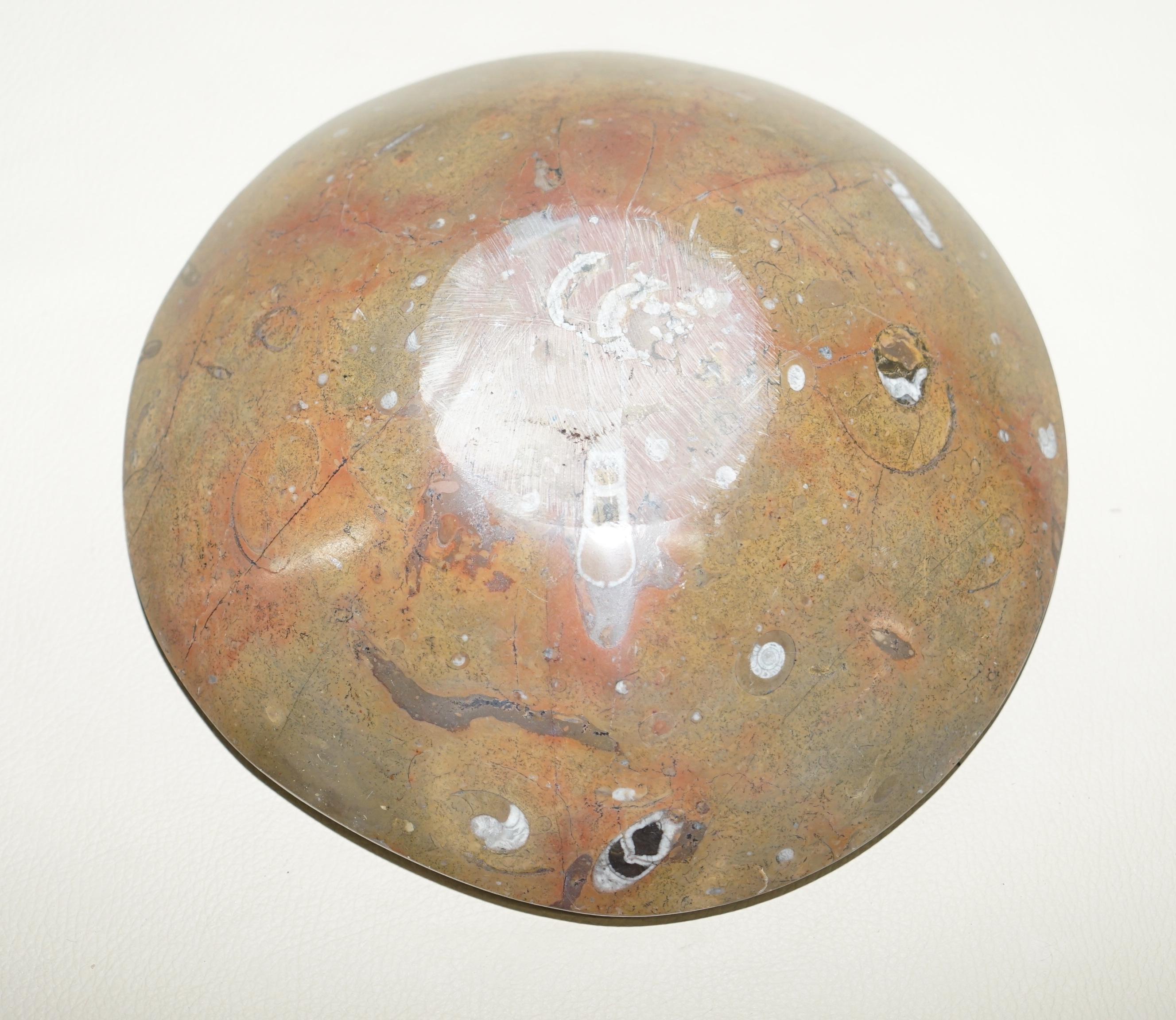 1 de 4 Ravissants bols marocains Ammonite Atlas Mountains en finition marbre en vente 2