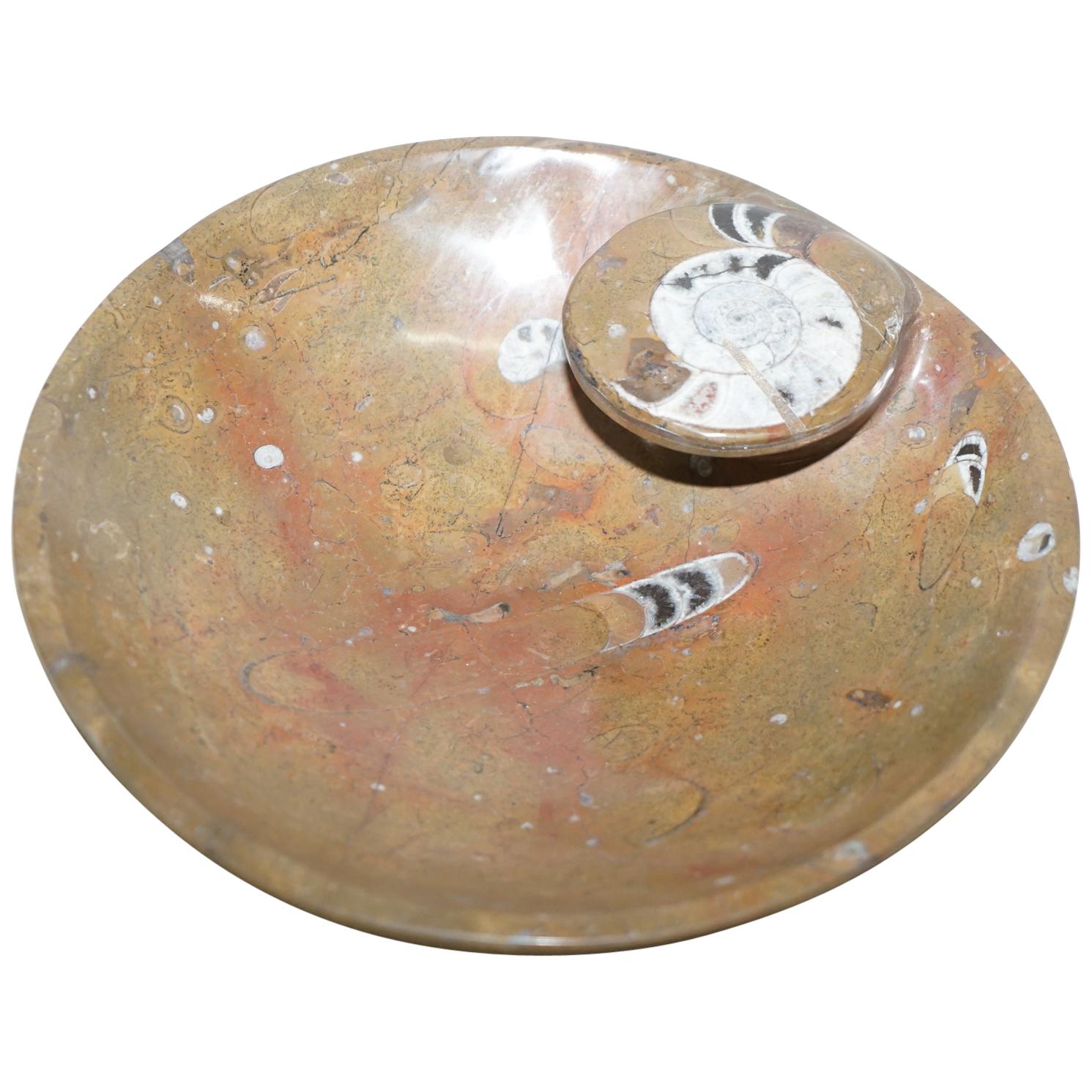 1 of 4 Lovely Moroccan Ammonite Atlas Mountains Fossil Bowls Marble Finish For Sale