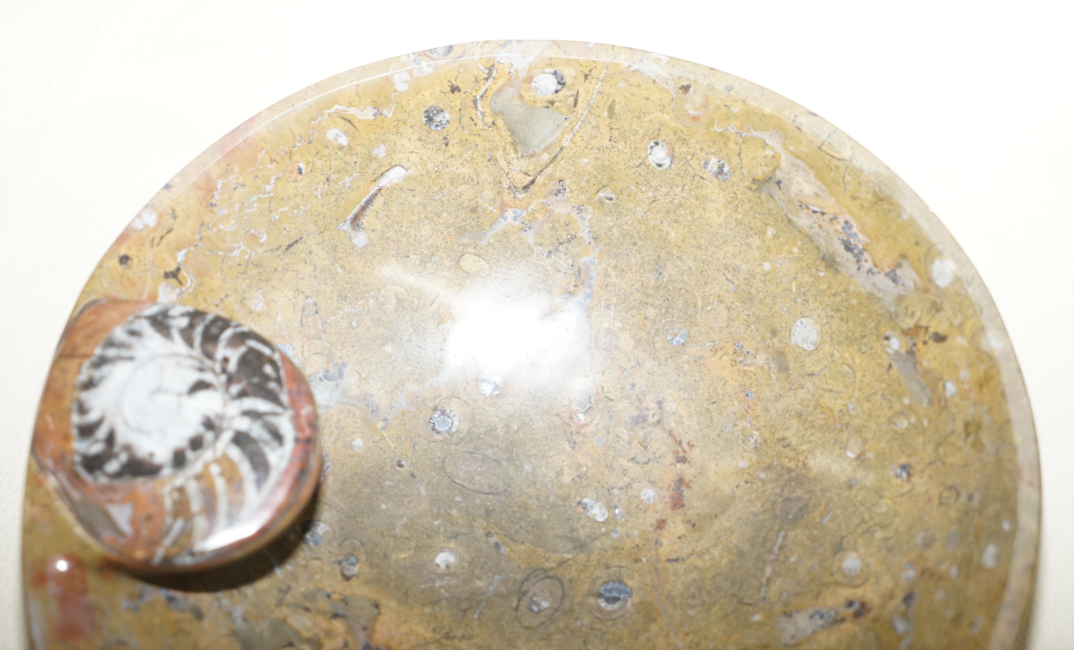Autre 1 of 4 Sublime Ammonite Marocaine Montagnes Atlas Bols Fossiles Finition Marbre en vente