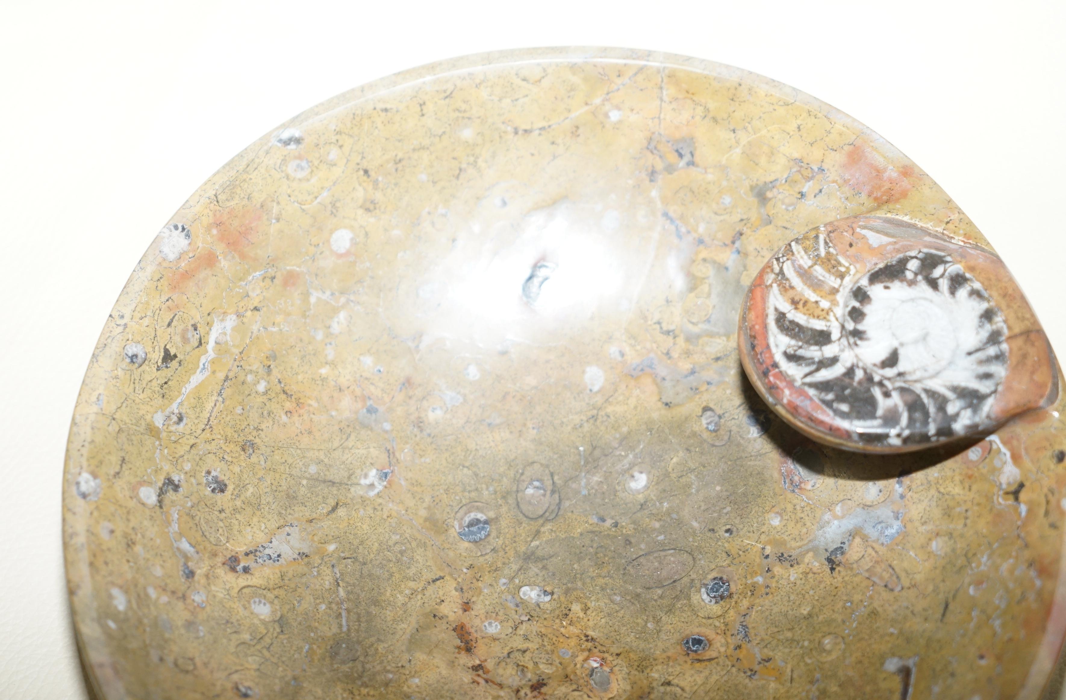 Fait main 1 of 4 Sublime Ammonite Marocaine Montagnes Atlas Bols Fossiles Finition Marbre en vente