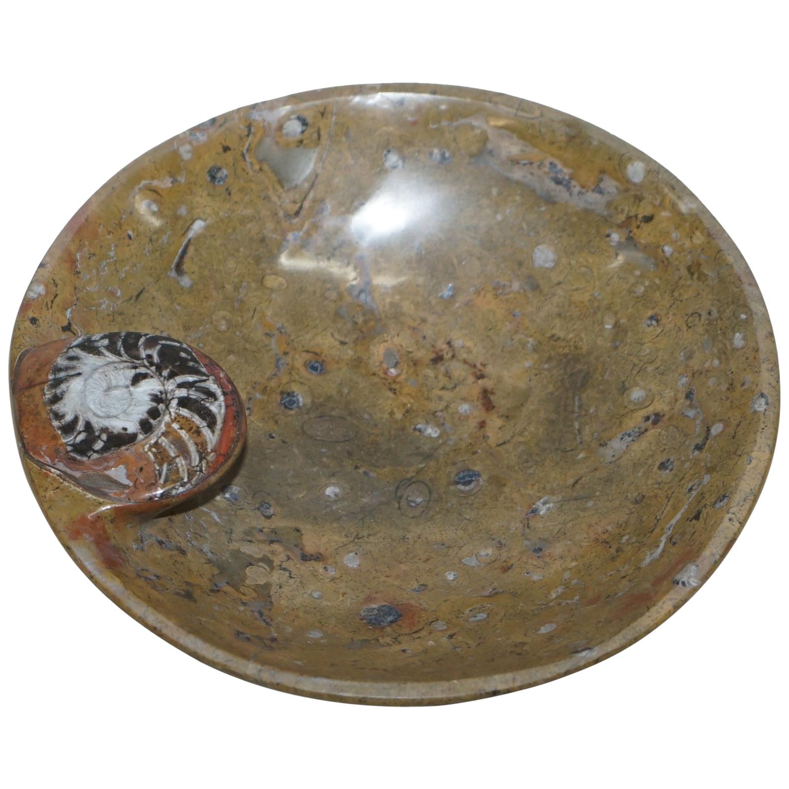 1 of 4 Sublime Moroccan Ammonite Atlas Mountains Fossil Bowls Marble Finish