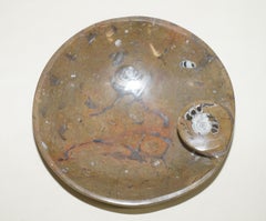 1 of 4 Very Rare Moroccan Ammonite Atlas Mountains Fossil Bowls Marble Finish