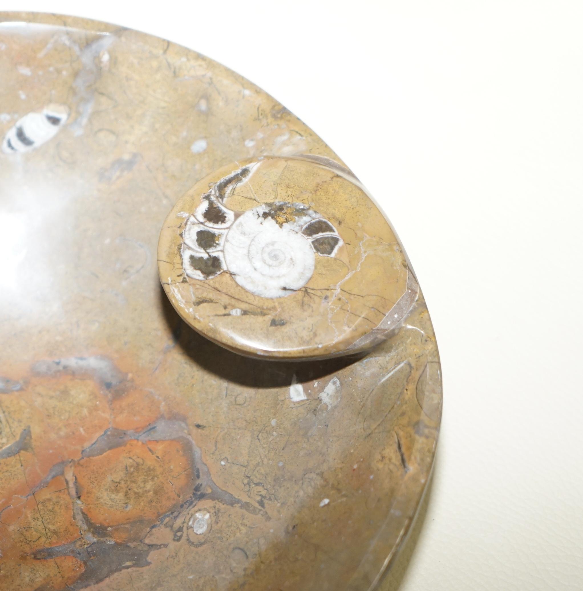 Other 1 of 4 Very Rare Moroccan Ammonite Atlas Mountains Fossil Bowls Marble Finish For Sale