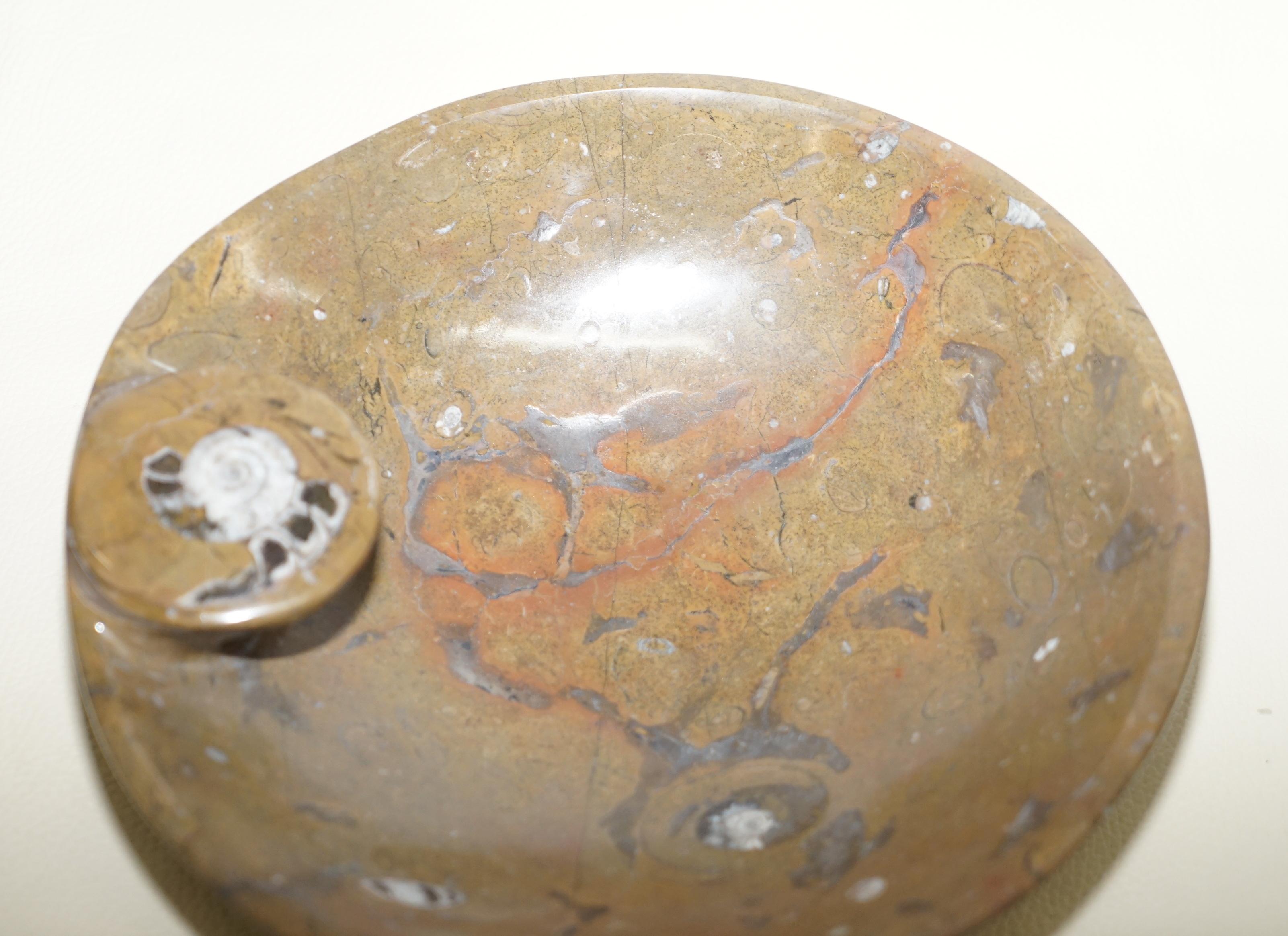 Hand-Crafted 1 of 4 Very Rare Moroccan Ammonite Atlas Mountains Fossil Bowls Marble Finish For Sale