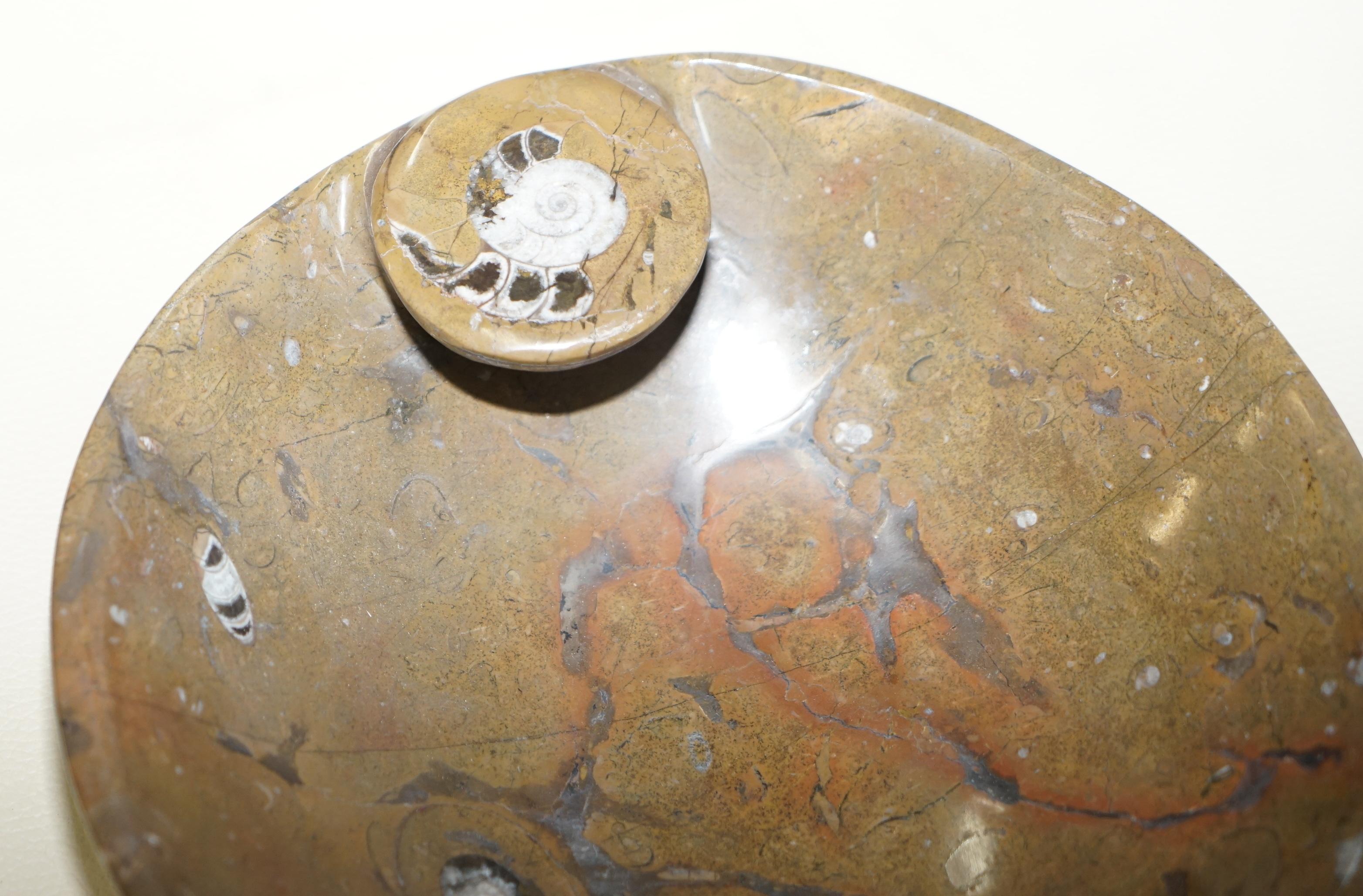 Fait main 1 des 4 très rares bols fossiles marocains Ammonite Atlas Mountains en marbre finition en vente