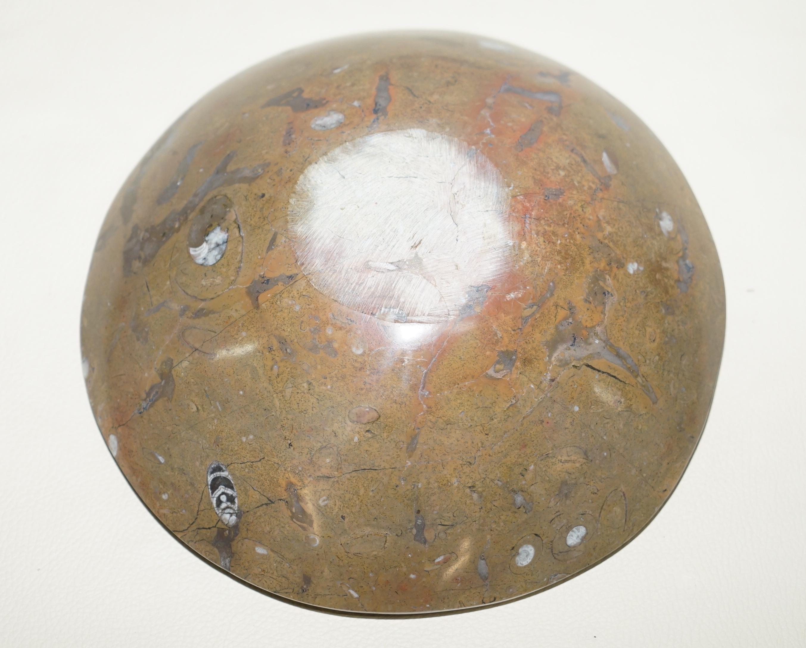 Marbre 1 des 4 très rares bols fossiles marocains Ammonite Atlas Mountains en marbre finition en vente