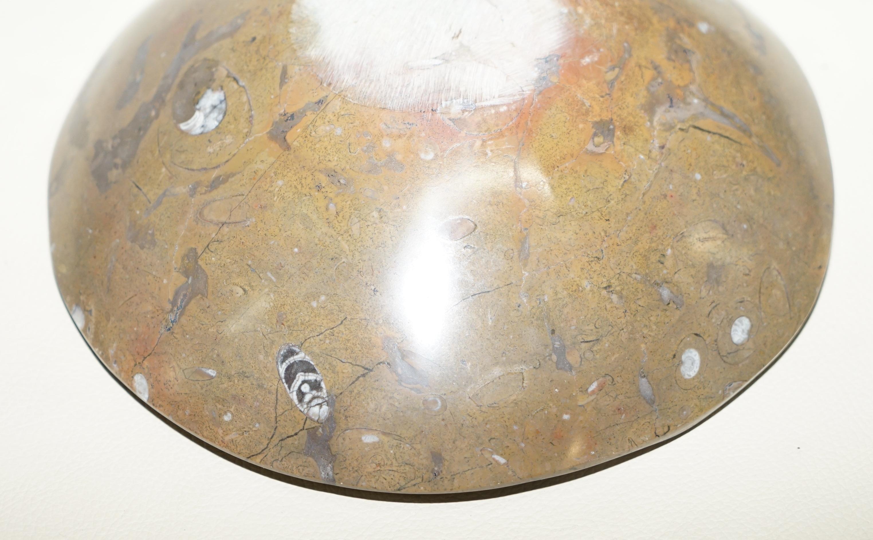 1 of 4 Very Rare Moroccan Ammonite Atlas Mountains Fossil Bowls Marble Finish For Sale 3