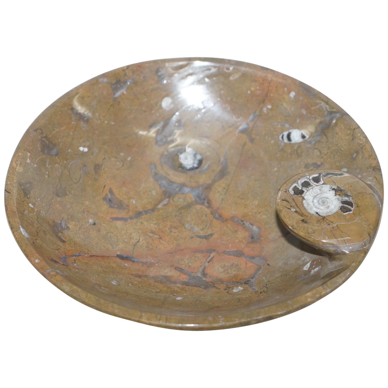 1 des 4 très rares bols fossiles marocains Ammonite Atlas Mountains en marbre finition en vente