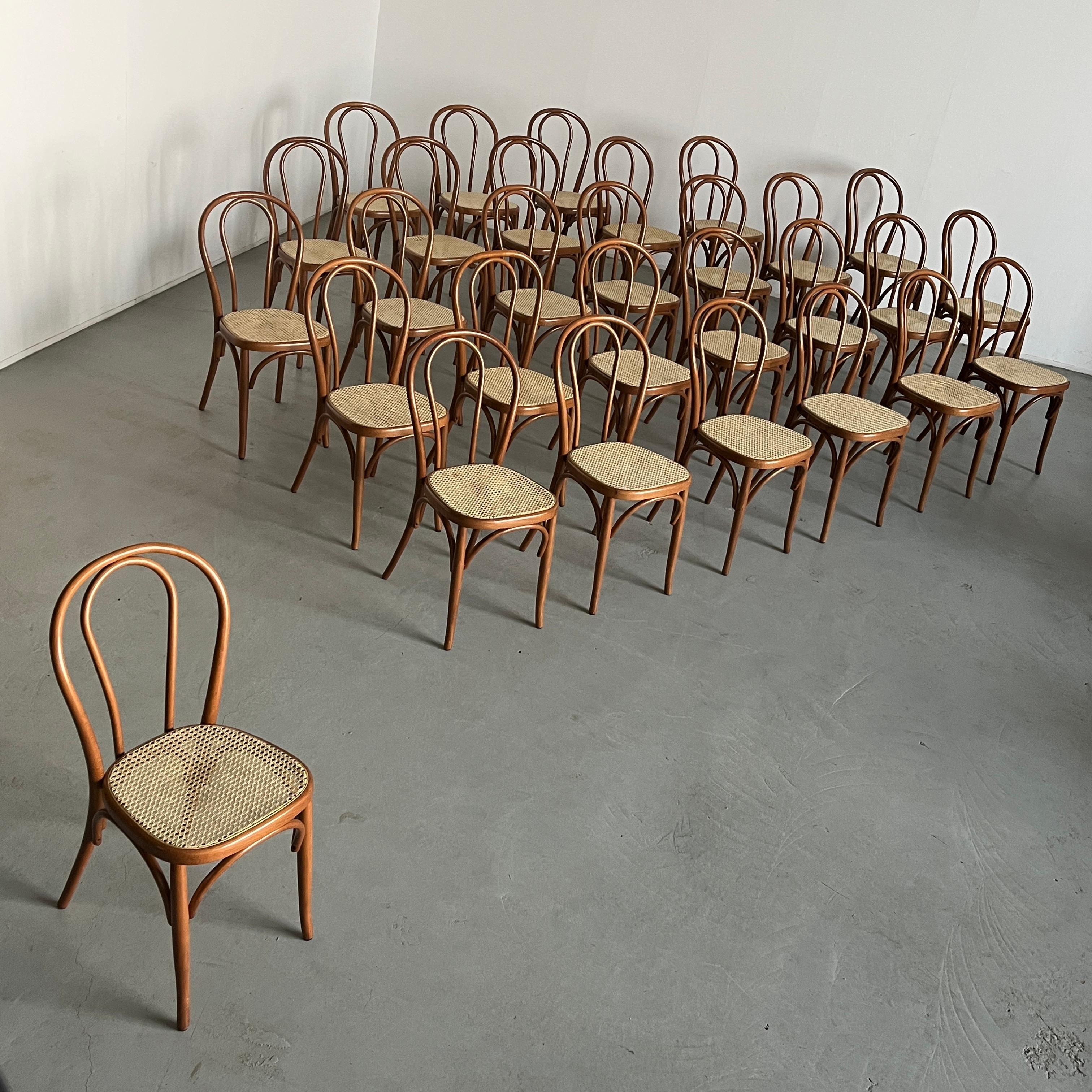 Mid-Century Modern 1 of 50 Vintage Thonet Bentwood Style Chairs No. 14 / European Cafe Dining Chair For Sale
