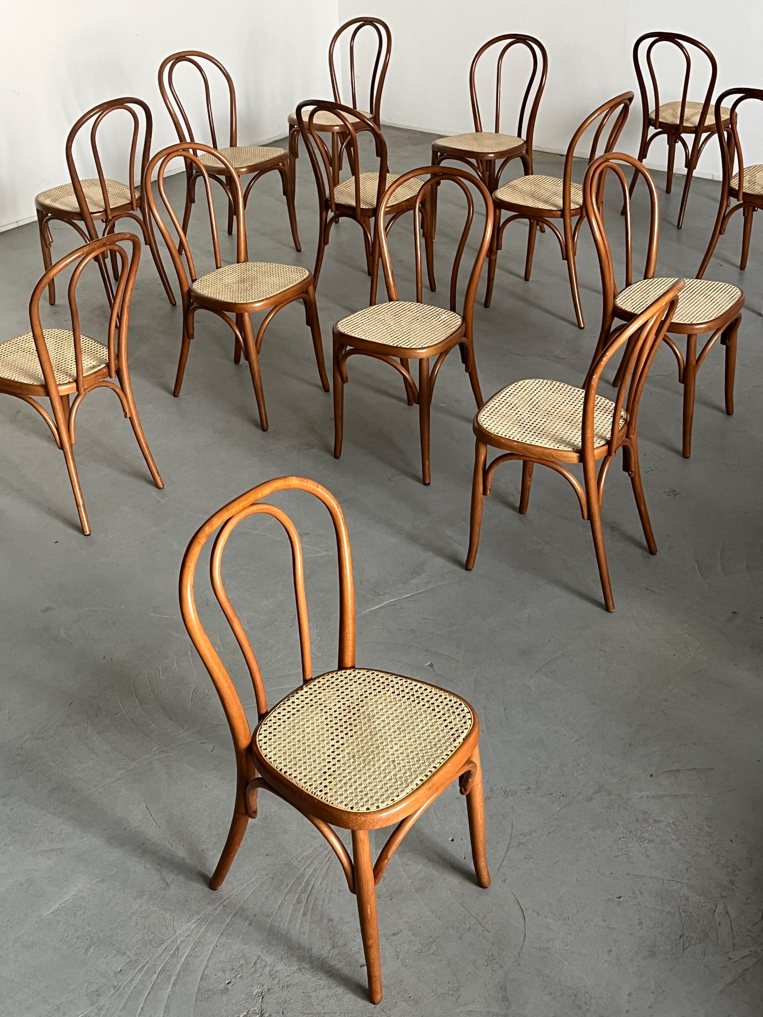 Cane 1 of 50 Vintage Thonet Bentwood Style Chairs No. 14 / European Cafe Dining Chair For Sale
