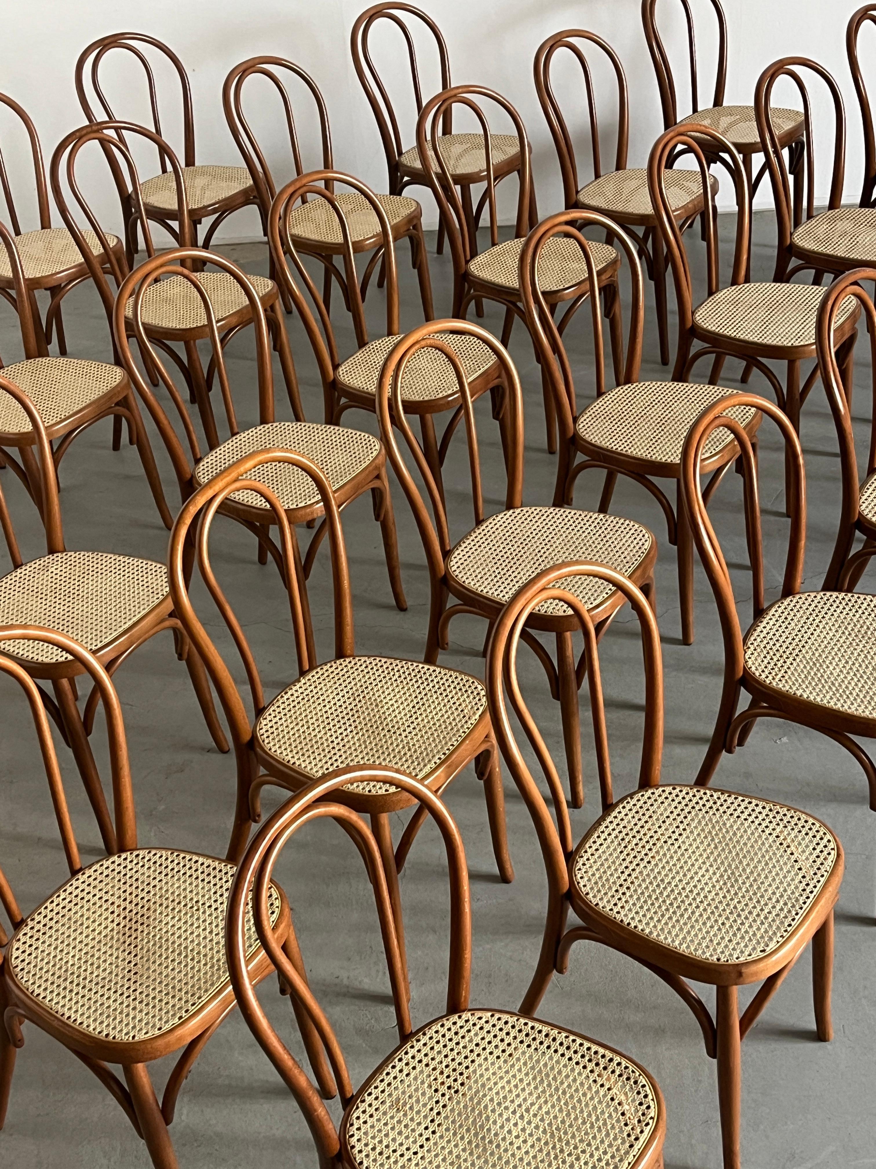 1 of 50 Vintage Thonet Bentwood Style Chairs No. 14 / European Cafe Dining Chair For Sale 1