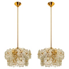 1 of the 2 Glass and Brass Floral Two Tiers Light Fixtures, 1960s