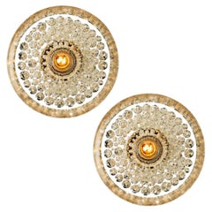 1 of the 2 Glass Flush Mount Wall Lights from Peill & Putzler, Germany 1970s