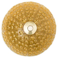 1 of the 2 Gold Brass Amber Glass Flush Mount, Fagerlund, 1960s