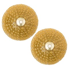 1 of the 2 Gold Brass Amber Glass Flush Mount, Fagerlund, 1960s