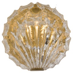 1 of the 2 Golden Ice Glass Shell Wall Sconces, 1960s