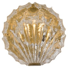 1 of the 2 Golden Ice Glass Shell Wall Sconces, 1960s