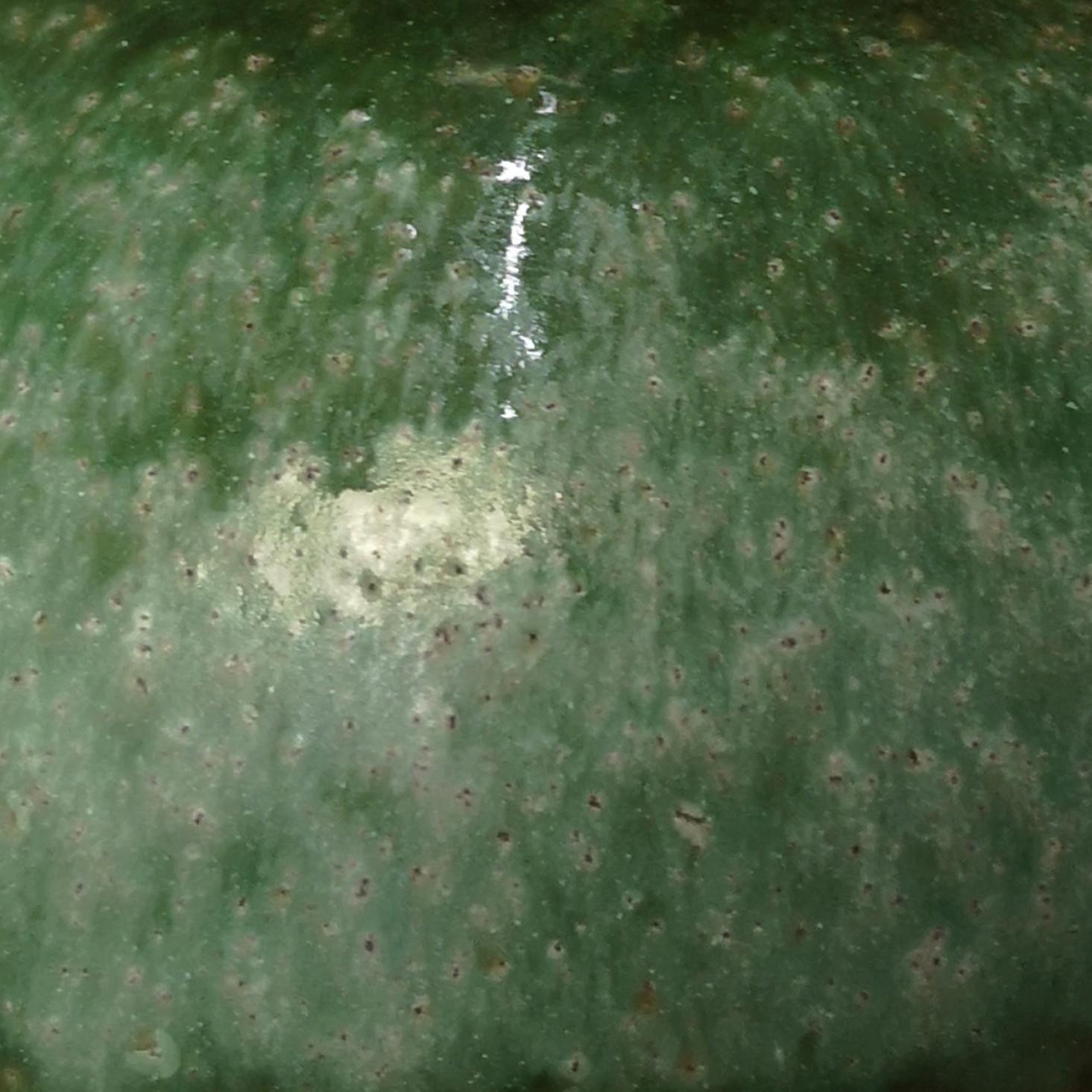 1 de las 2 Lámparas de pie de cerámica verde con pantalla de seda nueva, Kaiser mediados del siglo XX en venta