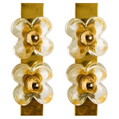 1 of the 4 Flower Wall Lights, Brass and Glass by Sische, 1970s