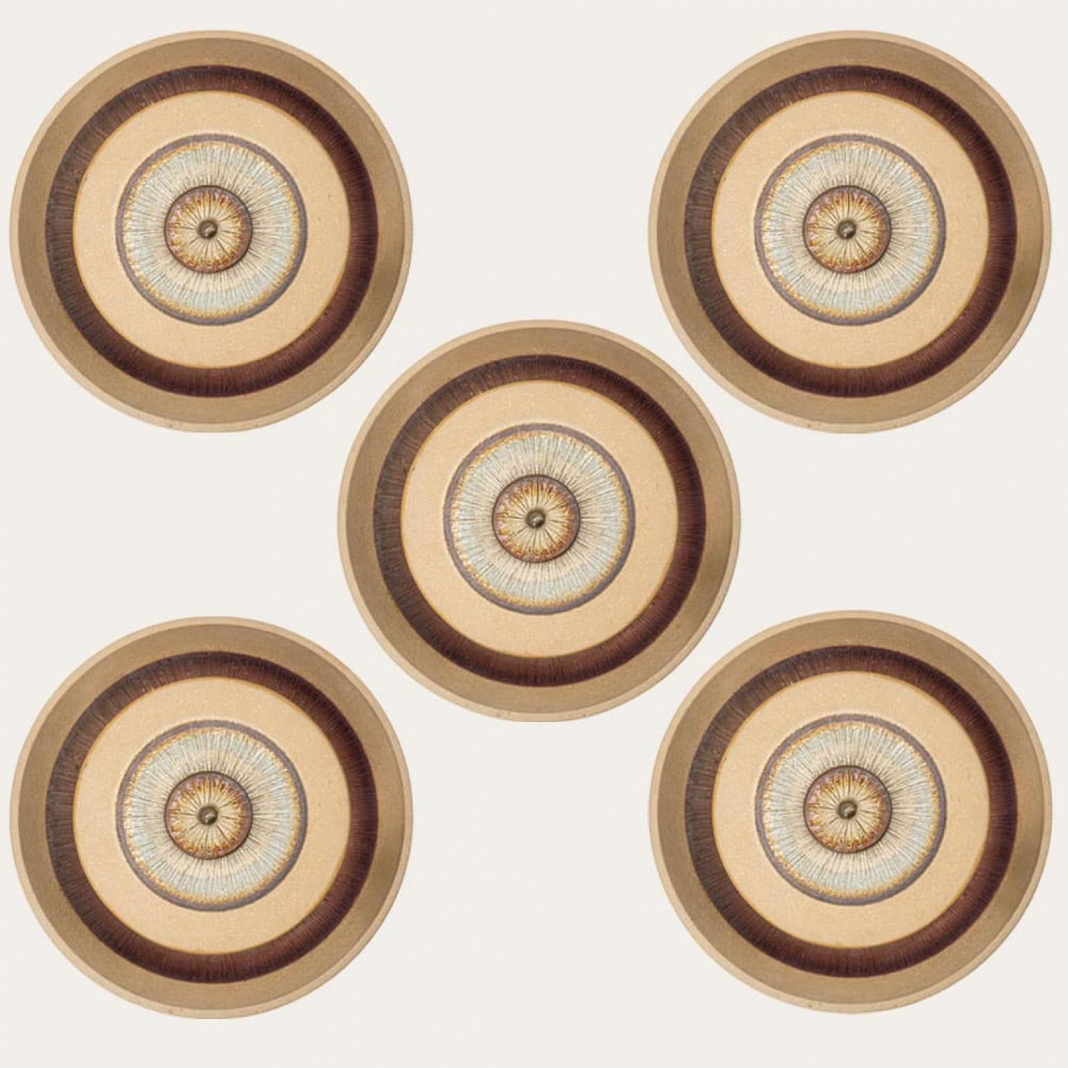 Espectaculares apliques circulares de cerámica con bonitos detalles. Fabricado por Soholm en Dinamarca en la década de 1970.

Ten en cuenta que el precio es por una pieza, tenemos cinco piezas disponibles.

Limpio, bien cableado y listo para