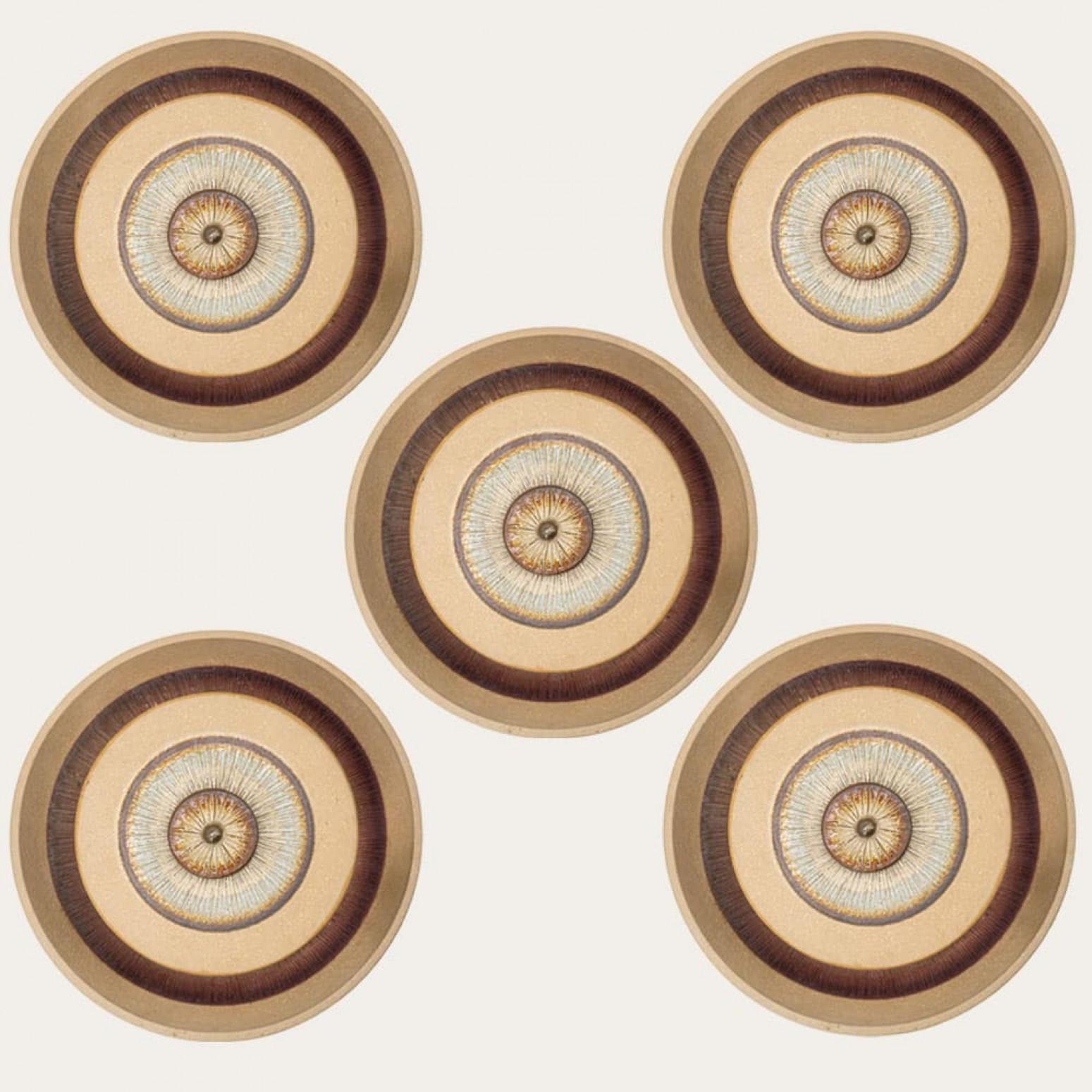 Spectaculaires appliques circulaires en céramique avec de beaux accents. Fabriqué par Soholm au Danemark dans les années 1970.

Veuillez noter que le prix est pour une pièce, nous avons cinq pièces disponibles.

Nettoyé, bien câblé et prêt à être