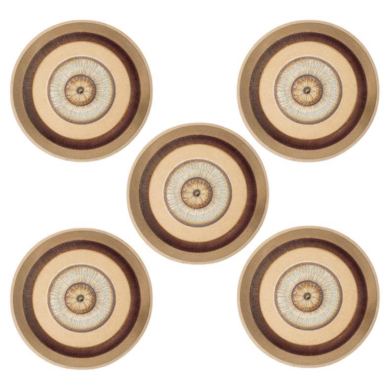 1 of the 5 Stunning Ceramic Wall Lights, Denmark, 1970 For Sale