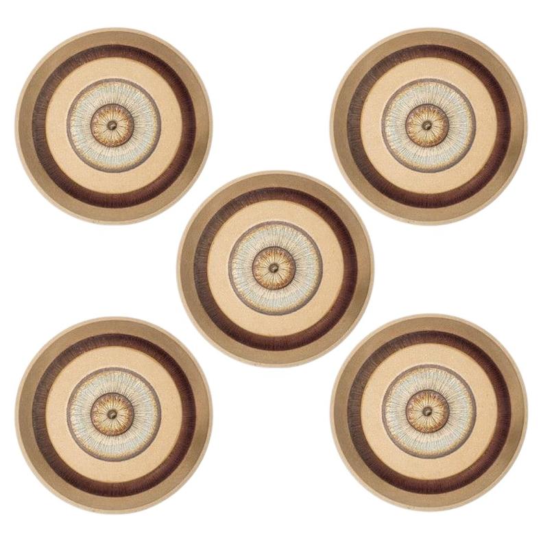 1 of the 5 Stunning Ceramic Wall Lights, Denmark, 1970