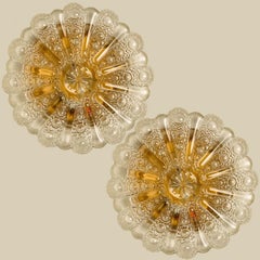 1 of the Six Clear Glass and Brass Flush Mounts in Style of Helena Tynell, 1960