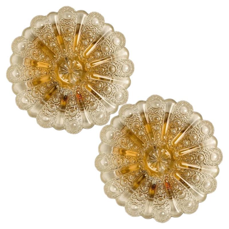 1 of the Six Clear Glass and Brass Flush Mounts in Style of Helena Tynell, 1960