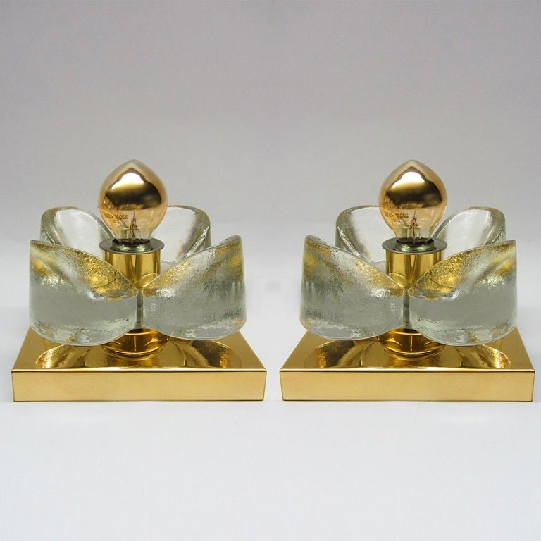 1 Of the 6 Flower Wall Lights, Brass and Glass by Sische, 1970s, Germany 12