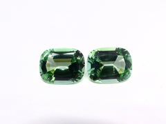 1 Pair of 2 Magnificent Mintgreen Tourmalines Cut with Large Facettes
