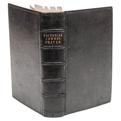 1 Vol. Rev. Henry Stebbing, M.A., Edición ilustrada del Libro de Oración Común