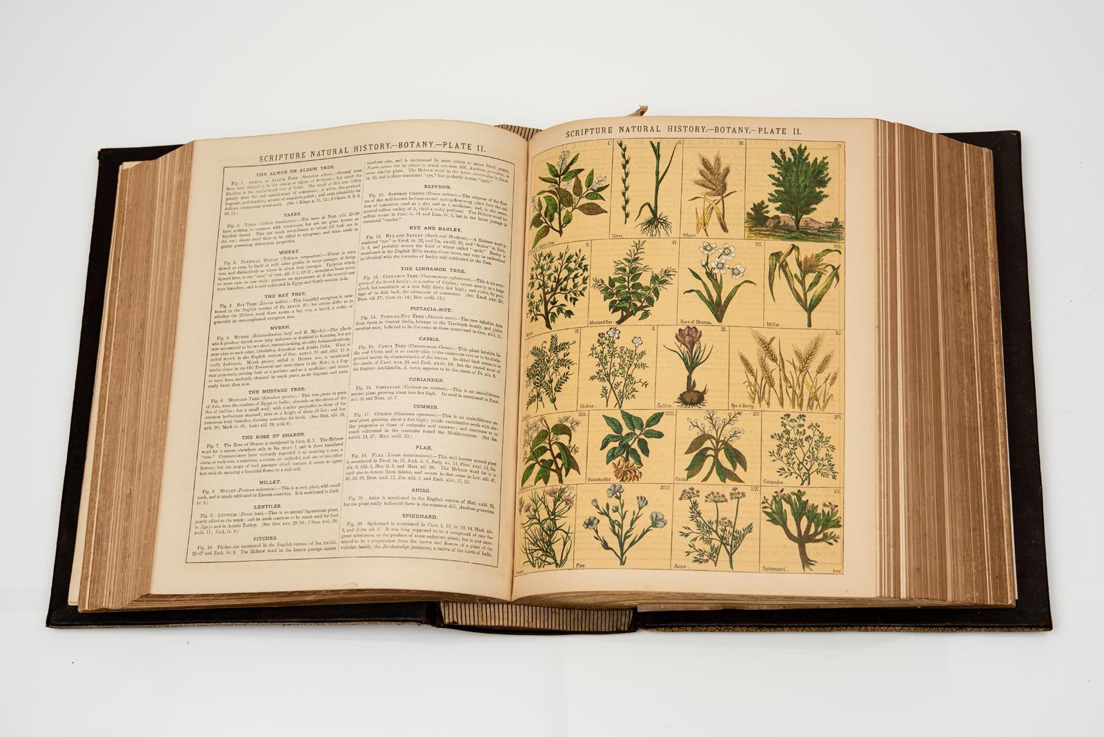 1 Volume. Anon. Holy Bible, Old And New Testaments In Good Condition For Sale In New York, NY